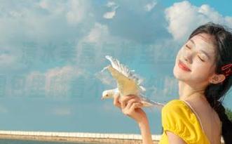 秀人网 - 清水美嘉与裤里丝的美图合辑，图包里藏着不为人知的笑点！